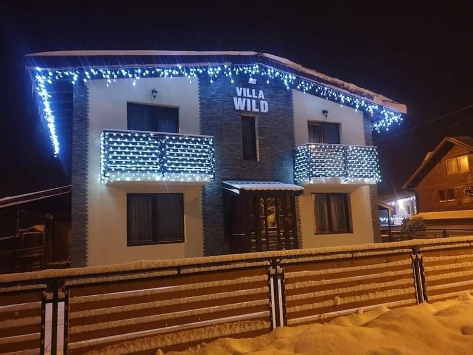 Villa Wild Petrosani Exterior photo